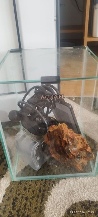 Acvarii pesti complete