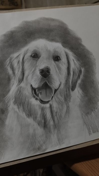 Рисувам портрети на животни и домашни любимци