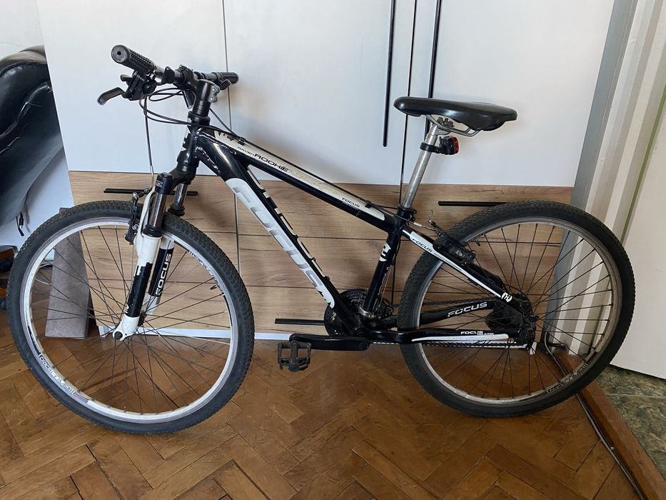 Bicicleta Focus Raven Rookie