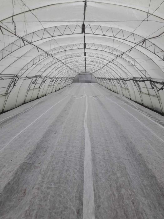 Продавам разсад за Пипер,Домати,Краставици и др.