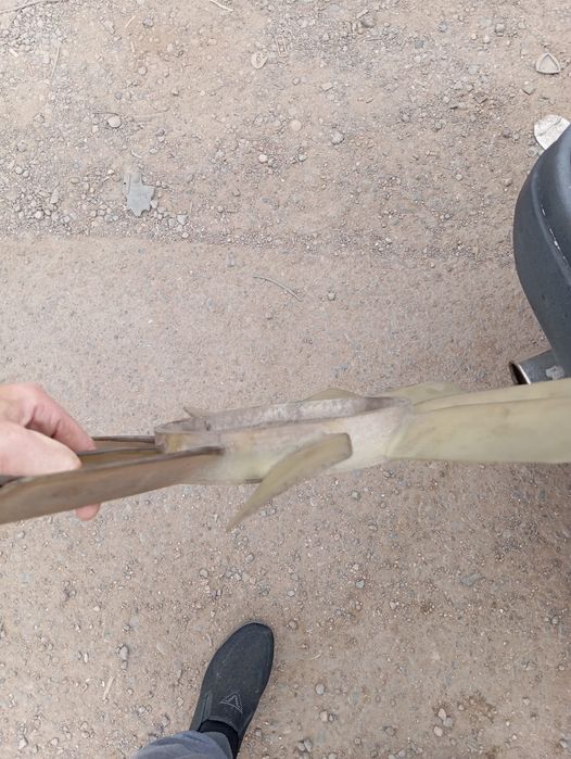 Продам лопостя,мерседес