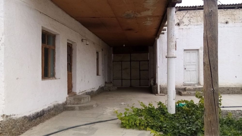 Когон туман чопик-1