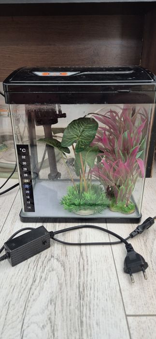 Vand acvariu 6L+pompa, filtru si plante artificiale