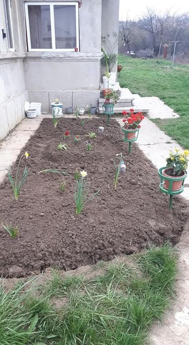 VAND CASA CU 4 CAMERE+HOOL suprafață 5500mp