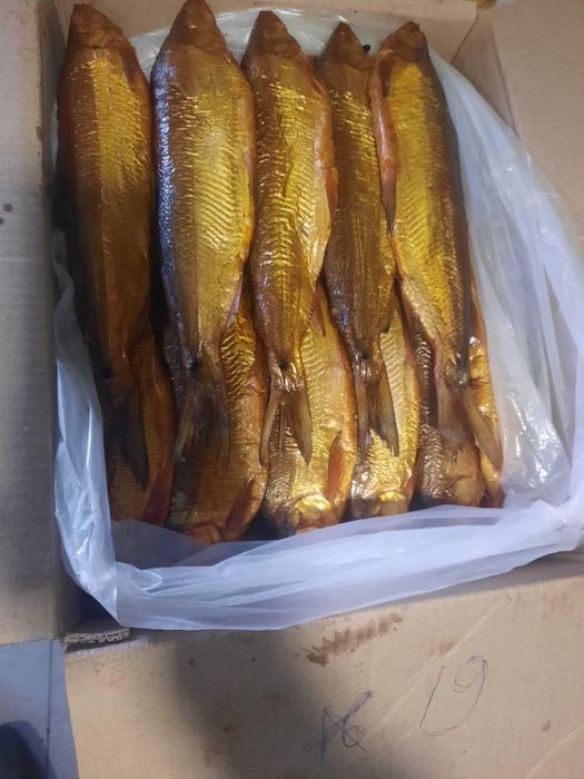 Рыба пелядь горячего копчения