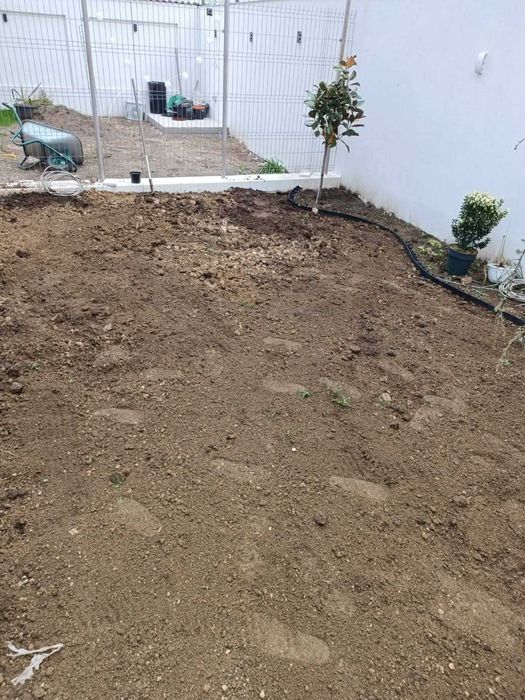 Amenajări grădină