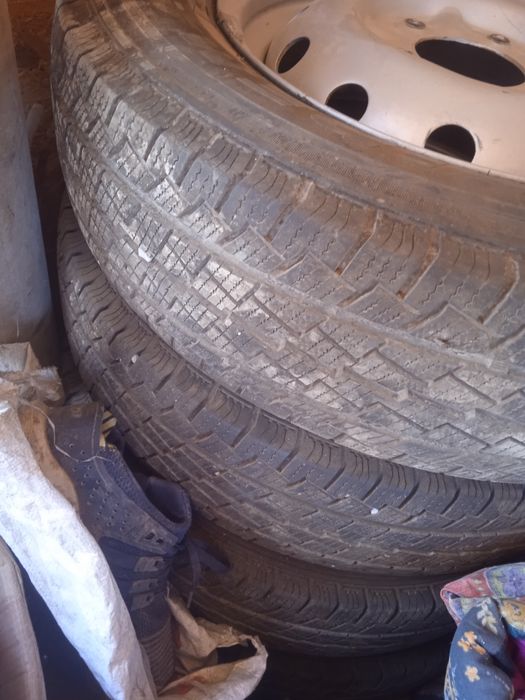 Нивсның балондары сатылады