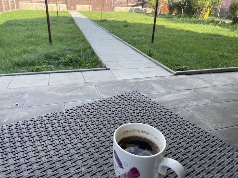 Casa vacanța ,,La Catalin’’ la 8km craiova