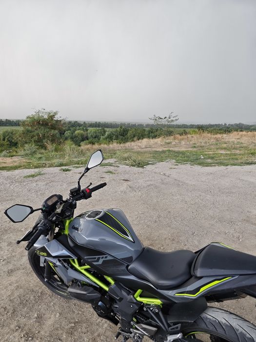 Kawasaki z125/2023