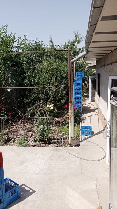 Bez maklir uzimizi xovli