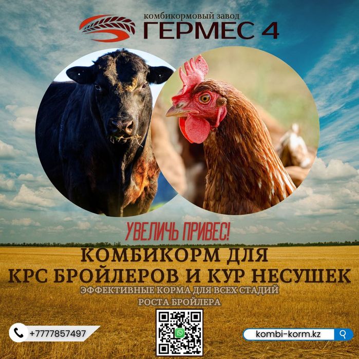 Комбикорм для всех