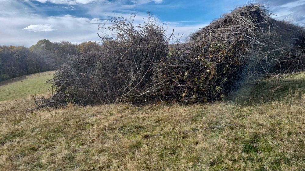 Defrisam livezi GRATIS! CURATAM/DEFRISAM terenuri in Cluj Napoca