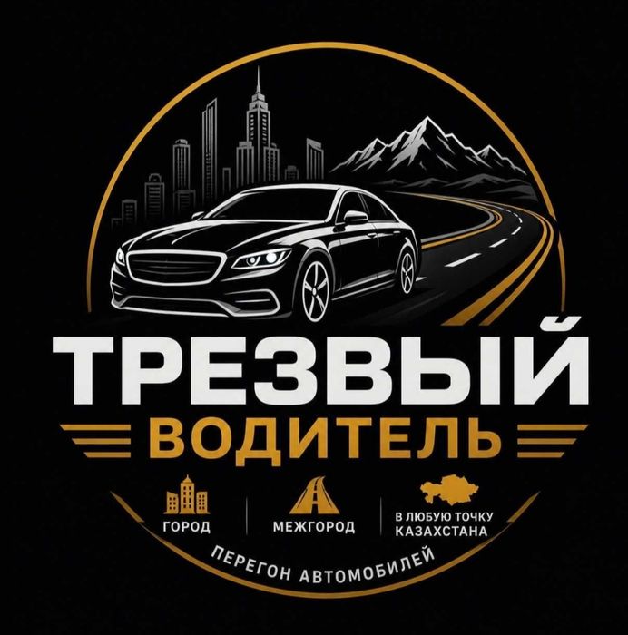 Трезвый водитель