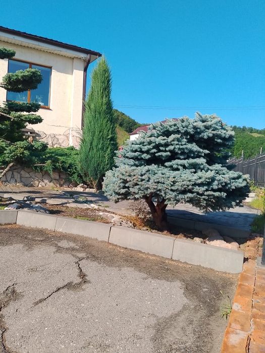 Archa kesish ishlar har xill shakillar boĝbonchilik dizayn landshaft