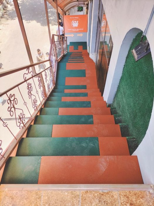 Резина покрыта барча турдаги резиналар