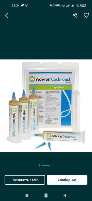 Tarakan dori geli Kalumush sichqon