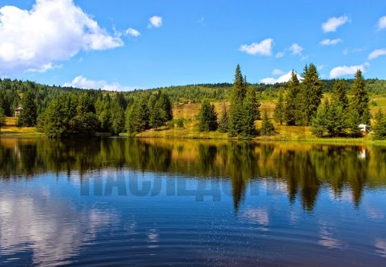 Продава се Парцел в Пловдив, Беломорски - 440 кв.м за 46 €/кв.м - Снимка #11