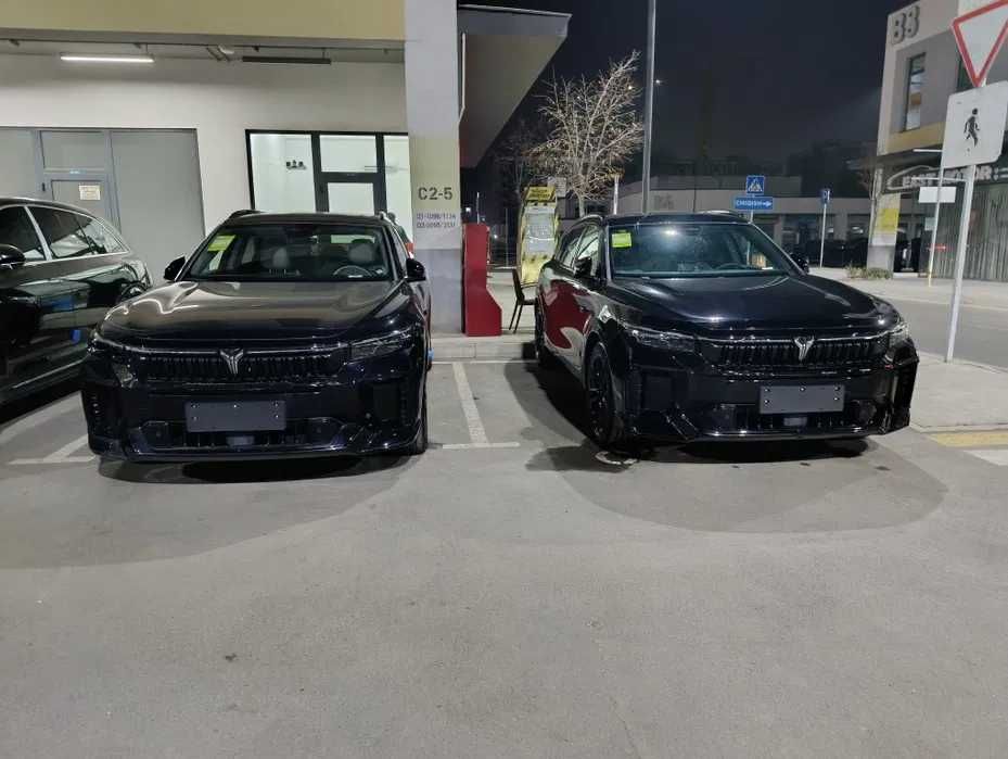 Voyah Free Hybrid 318 RWD