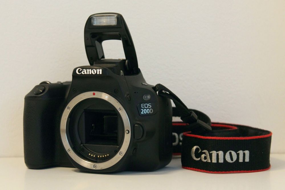 Canon 200 D DSLR 24mpix  + EF-S 18 55 STM