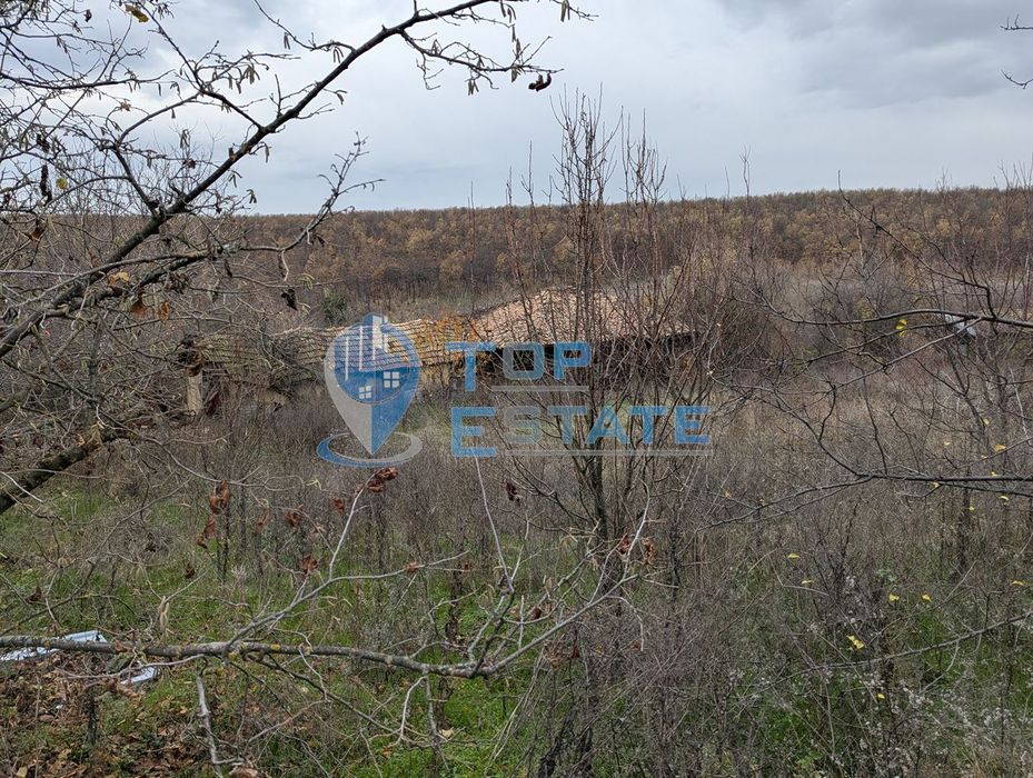 Голям парцел със стара къща в с. Балканци, общ. Стражица, обл. В.Търн