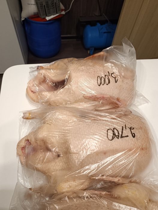 Продам домашних уток,находимся в Имантау.