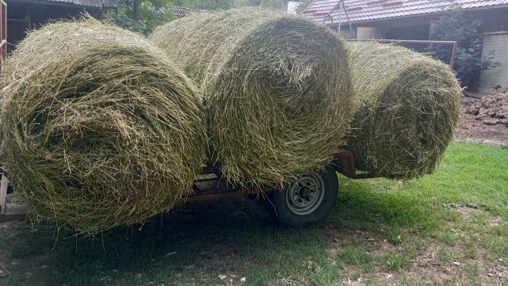 Vând baloți de lucernă rându 4