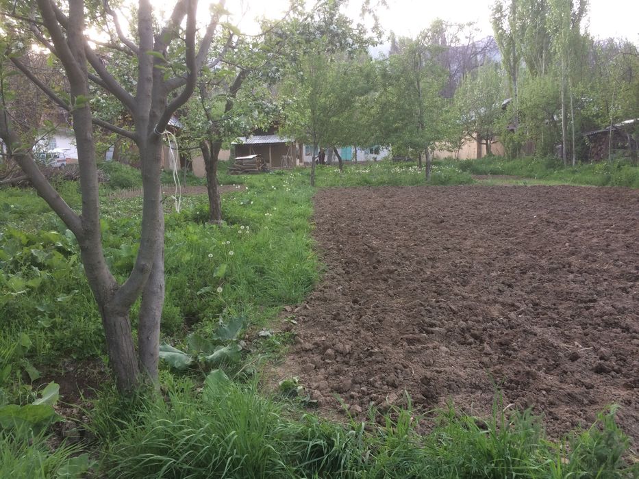 Uchka sotiladi 13.4 sotik srochna