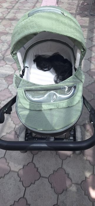 Продам коляску 50 000