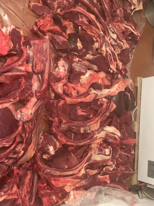 Семіз тайдын 4 аягы бар сатылымда