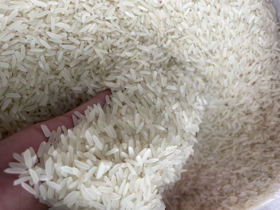 Рис куруш Ташкент выше сорт