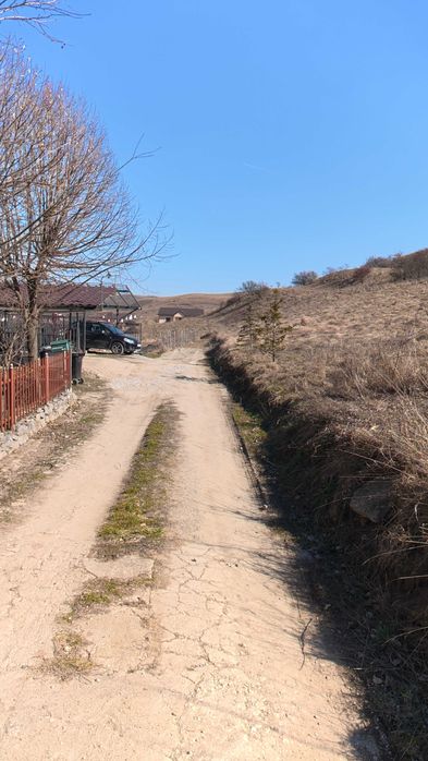 Teren Sannicoara - Strada Sperantei