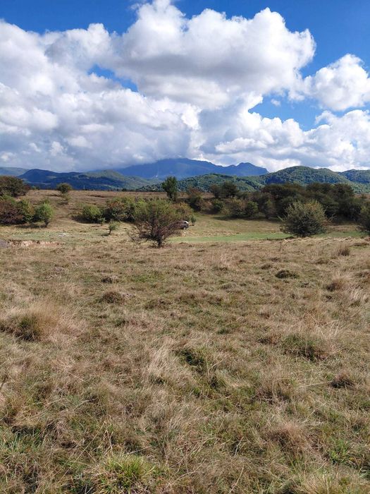 Teren extravilan – 1 ha – Glăjerie, Râșnov, Jud. Brașov