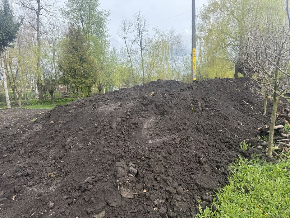 Pamant fertil in Dornesti