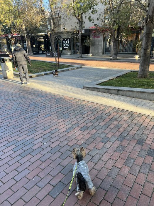 Продава се Магазин в Варна, Морска градина - 27 кв.м за 1482 €/кв.м - Снимка #4