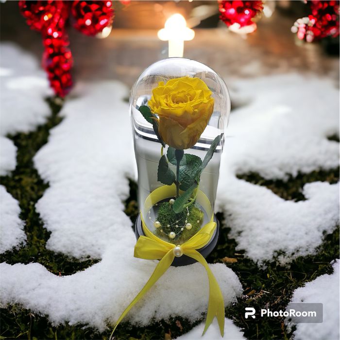 Trandafir criogenat galben in cupola de sticla