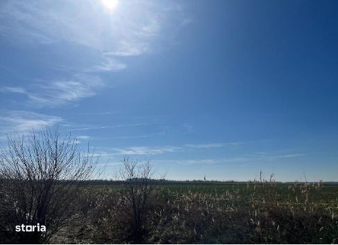 Teren extravilan, Loc Dor Marunt, Jud. Calarasi