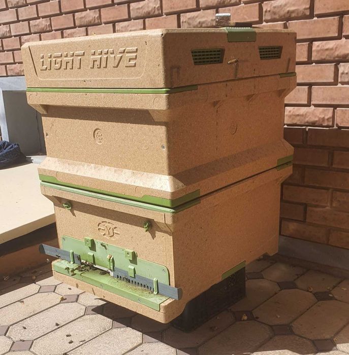 Асал ари ини, ящик для медоносных пчел. Asal ari qutisi, Asal ari oila