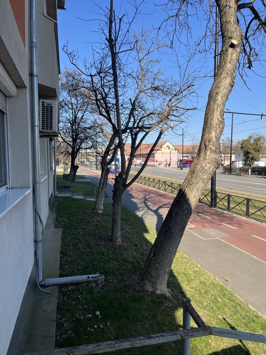 Apartament Dimitrie Cantemir