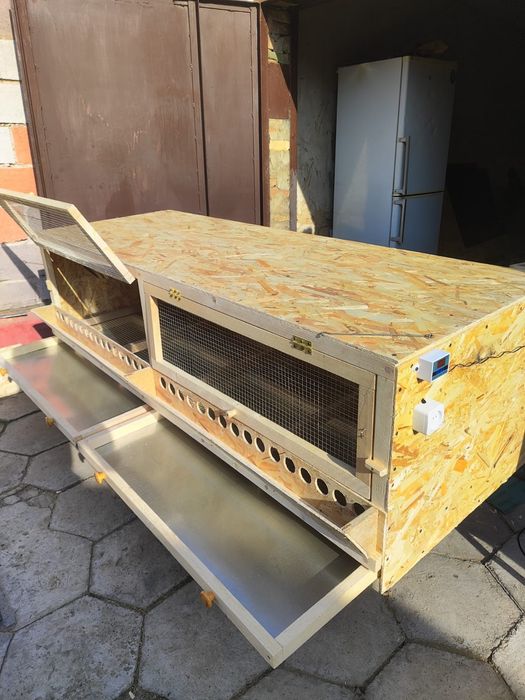 Брудер для цыплят