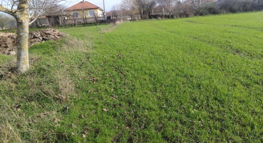 Добре разположен регулиран парцел (2000 кв.м.) на 30 км от гр. Шумен – отлична възможност за тези, които търсят място, където да построят своя нов дом