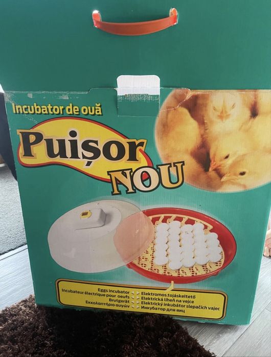 Incubator pui nou