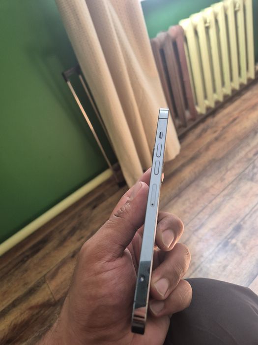 IPhone 13 pro max 256