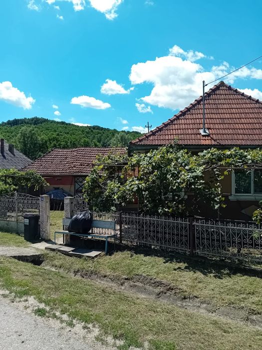 Vând casă la țară