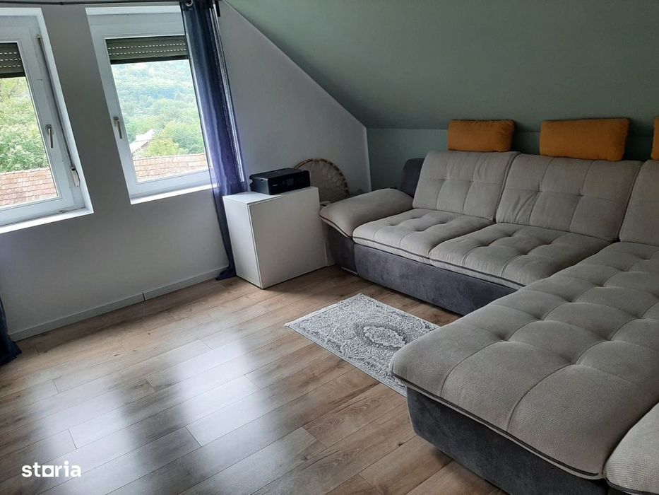 2 case pe curte / posibila investitie