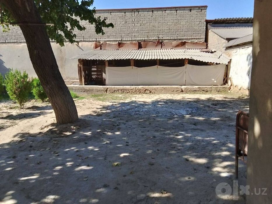 Nazarbek Turkiston saxovat