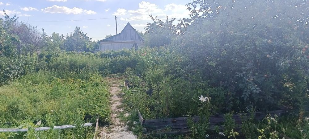 Продам дачу СО Элеваторщик