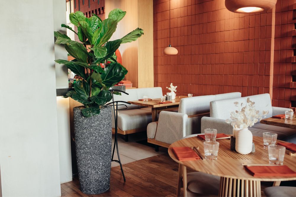 Уличные вазоны для цветов  и деревьев