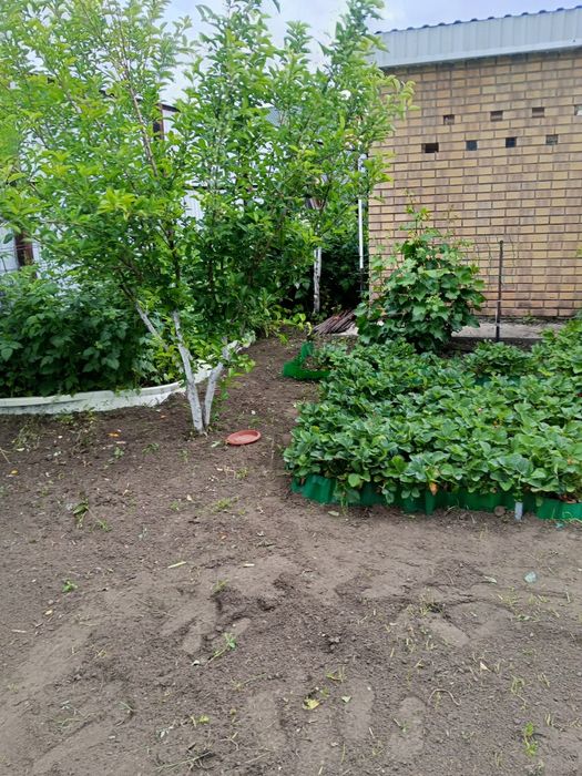 Прополка ,огорода,теплицы,и т д.