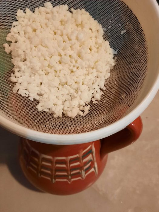 Kefir de lapte apa cristale japoneze chefir ciuperca tibetana kombucha