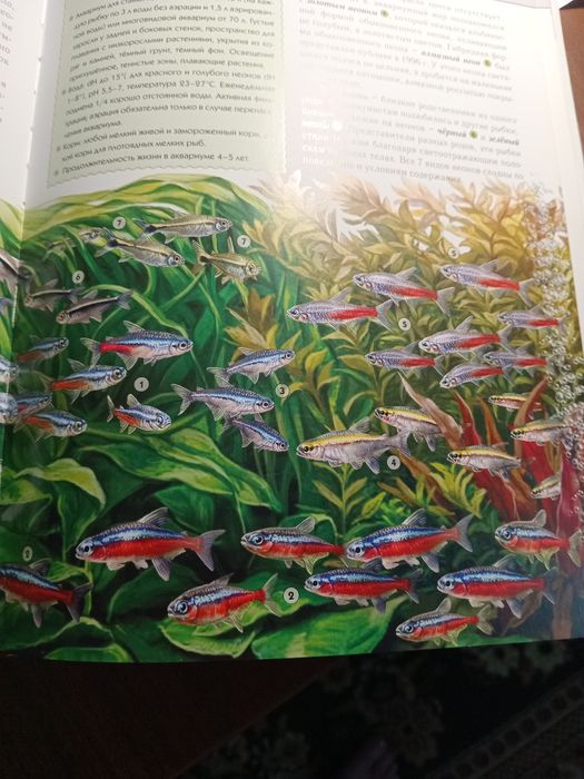 Инциклопедия аквариумные рыбки.